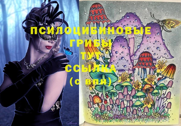 эйфоретик Балахна