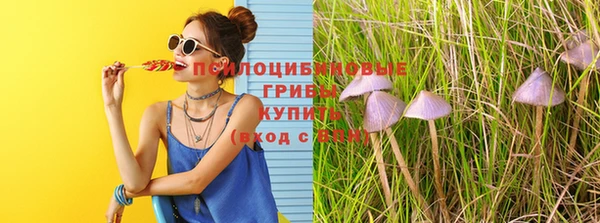 эйфоретик Балахна