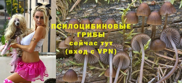 spice Баксан