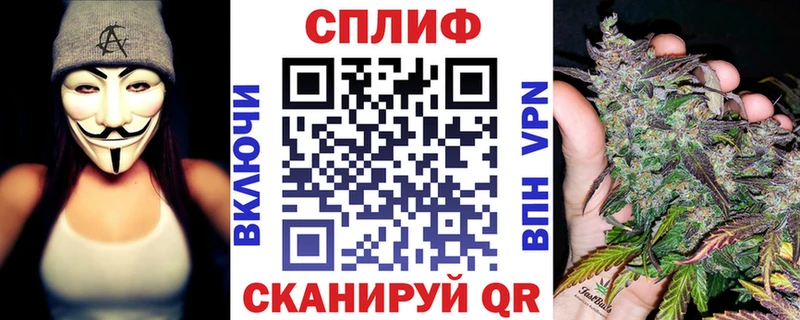 где можно купить   Краснообск  KRAKEN как зайти  Канабис семена 